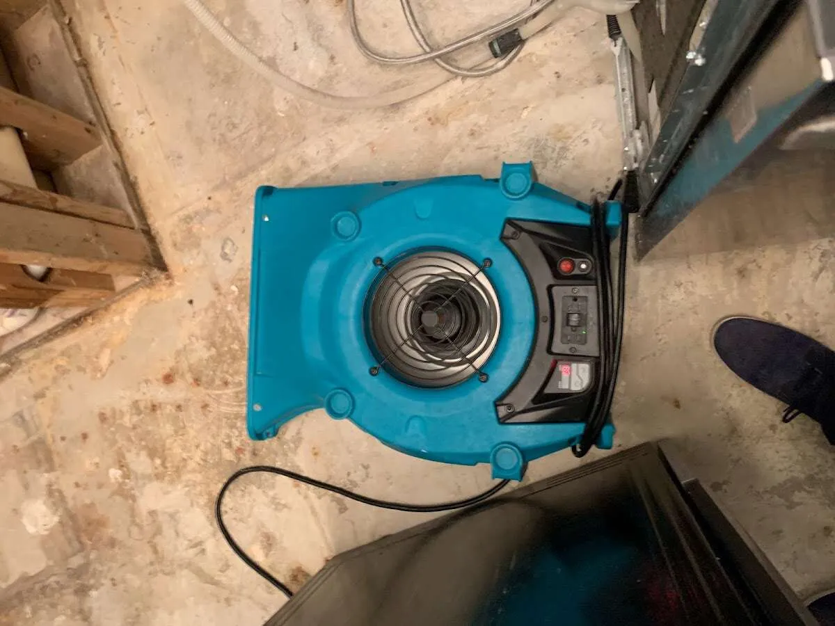 Air mover drying equipment for Mold Remediation & Removal in Wildwood
