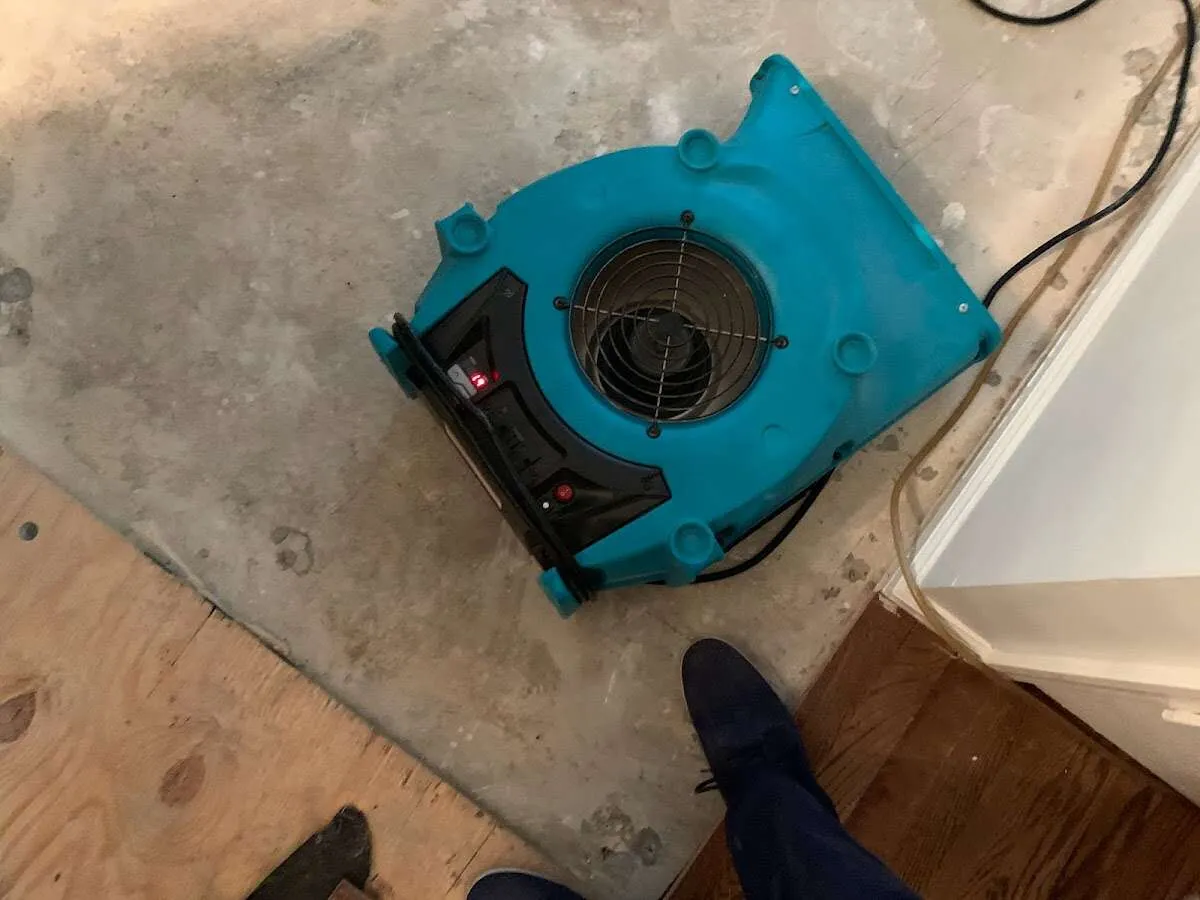 Air mover drying subfloor during Leak Detection & Repair in Wildwood